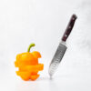 Damascus Santoku Knife