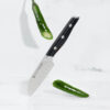 Santoku Knife 3.5"