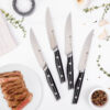 Steak Knife Set